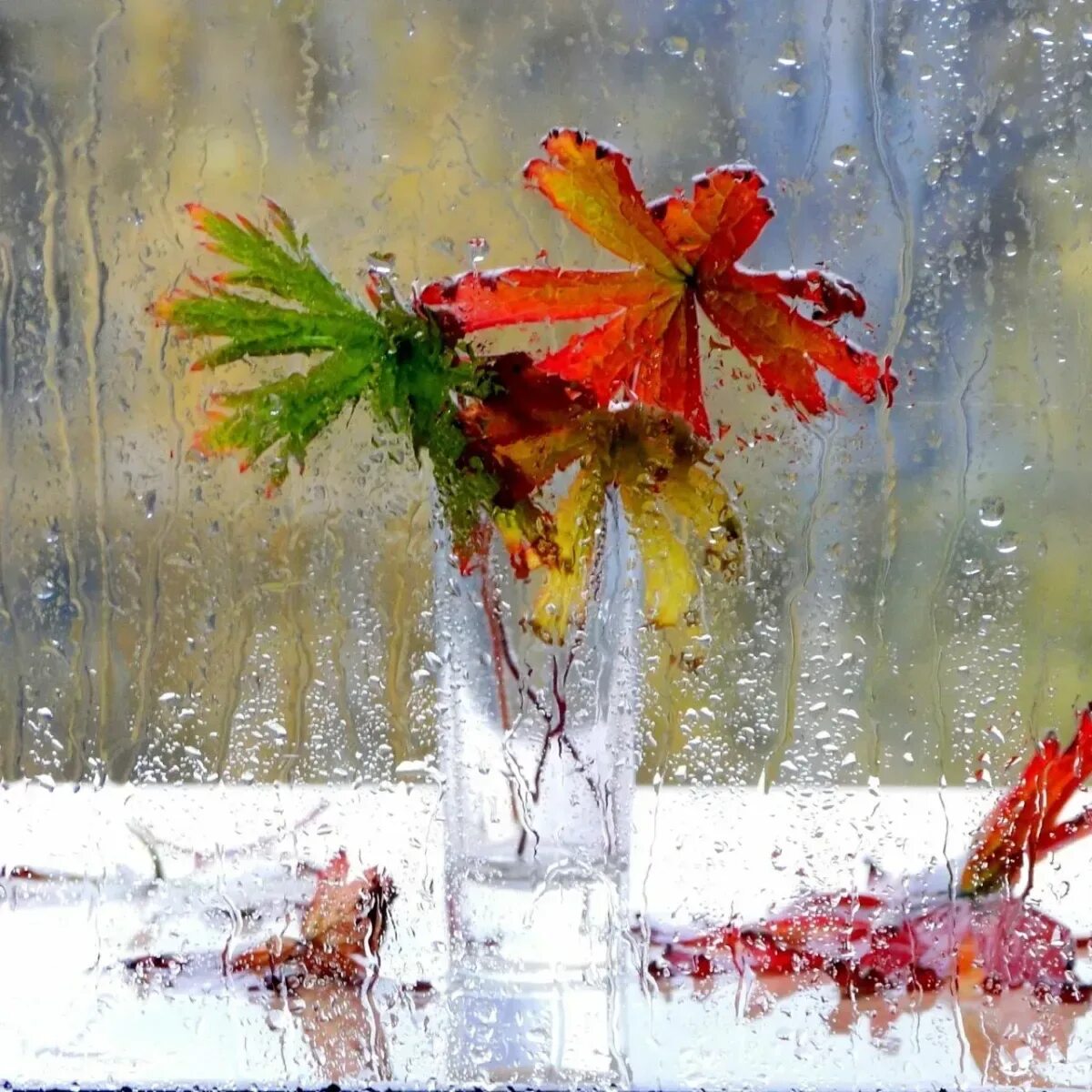 Бесплатные дождливые открытки. Дождливая осень. Осень дождь. Пожелания в дождливый день. Дождливая осень в окне.