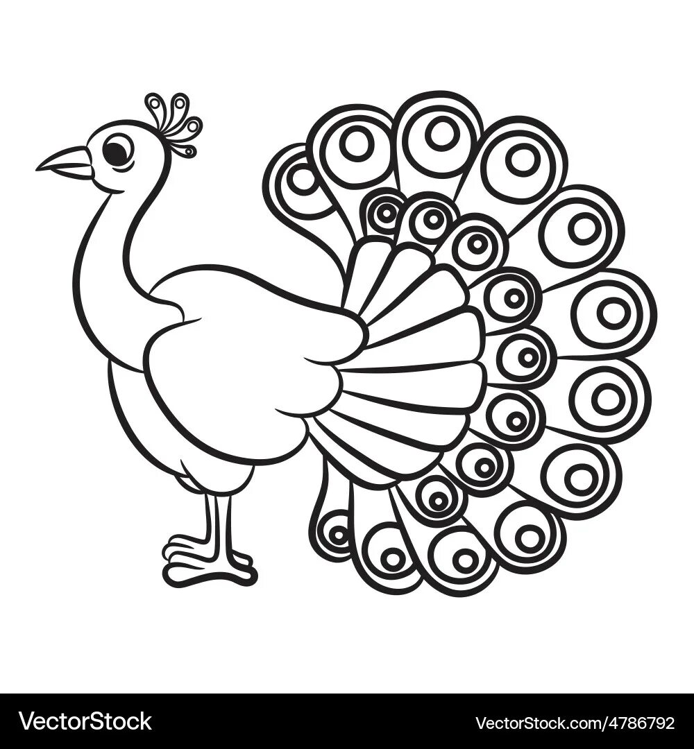 Павлин раскраска для детей распечатать бесплатно Free Peacock Coloring Pages For Adults. Peacock is a bird of heaven. It is famou