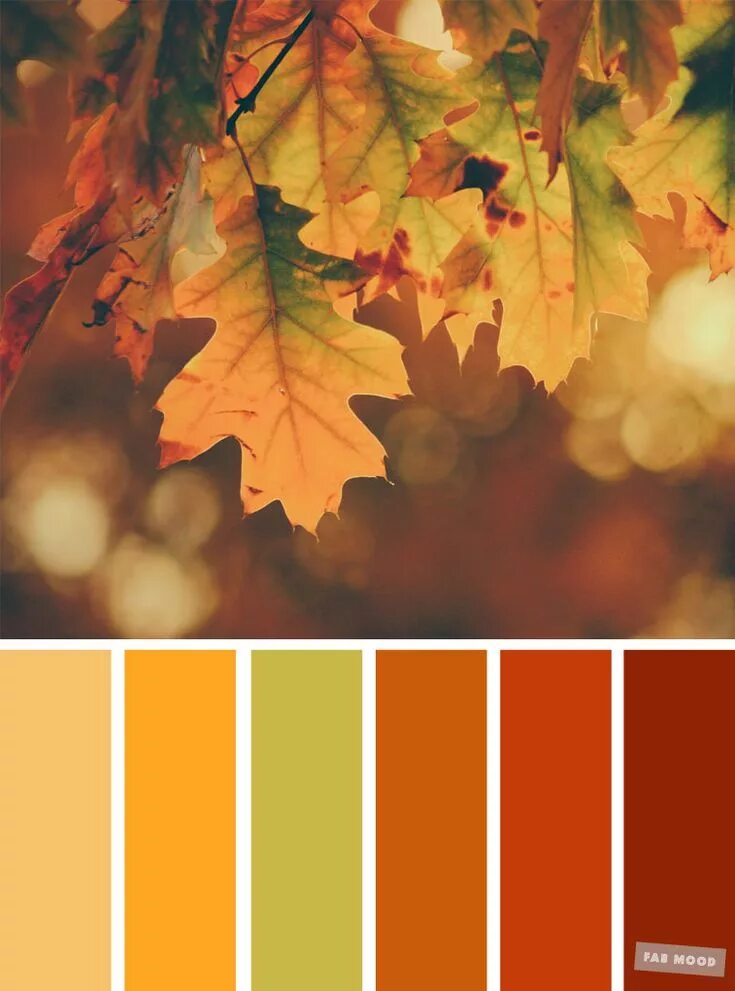 BlueHost.com Color palette design, Color schemes, Color harmony
