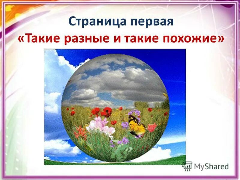 Растение родного края 2 класс