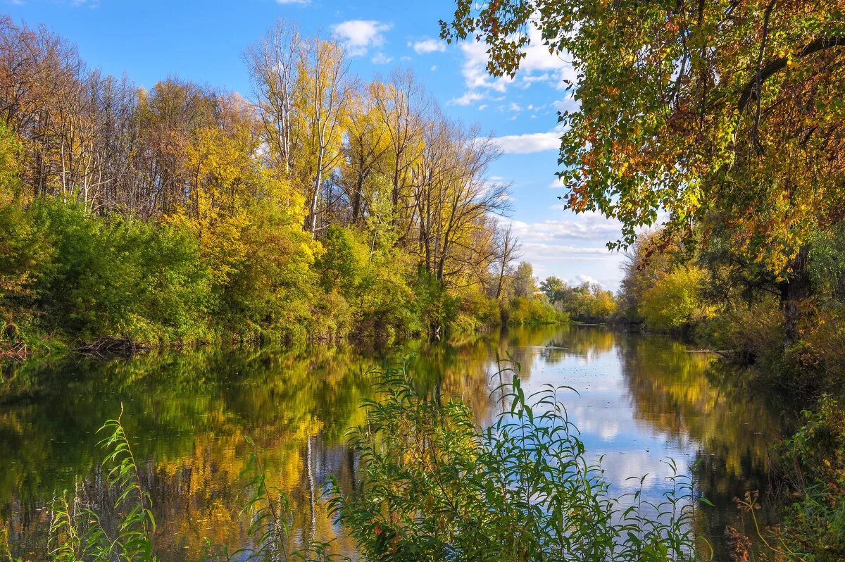 река дема в разные времена года