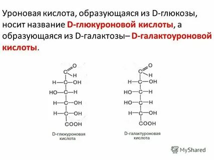 Энергетическая каталитическая двигательная транспортная структурная