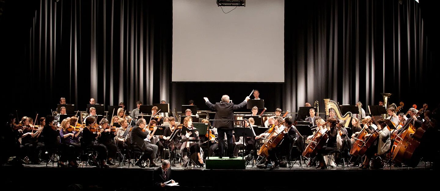 Orchestra performance
