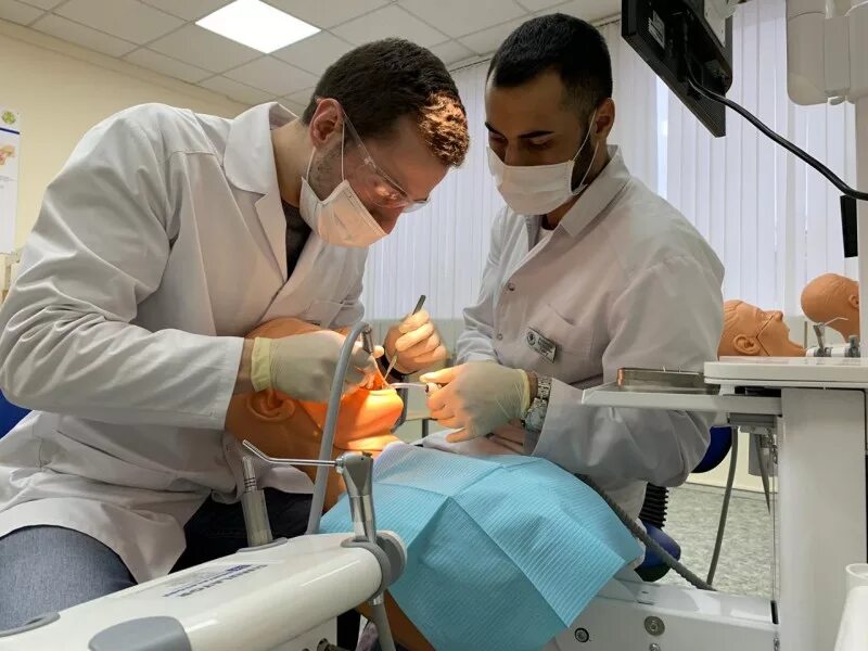 Акулина чгу медфак. Смоленский государственный стоматологический университет. Чгу стоматологический. Сно чгу. Чгу им ульянова стоматология.