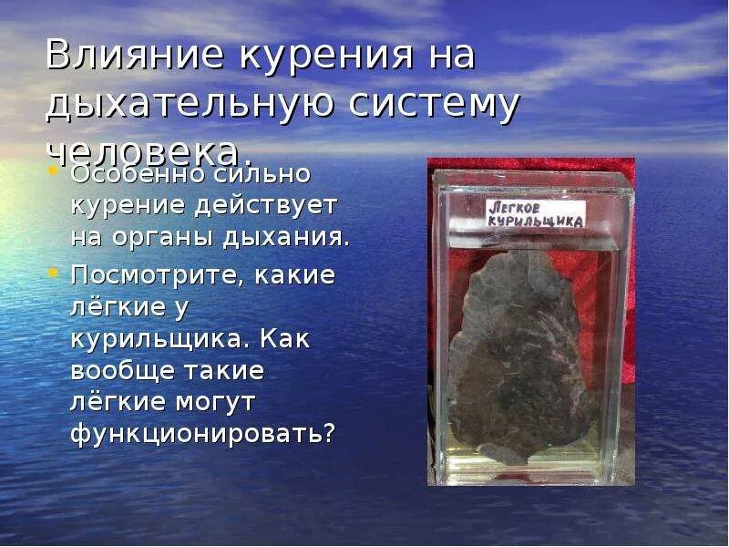 Влияние курения на дыхательную систему. Влияние курения на органы дыхания. влияние курения сигарет на дыхательную систему человека.