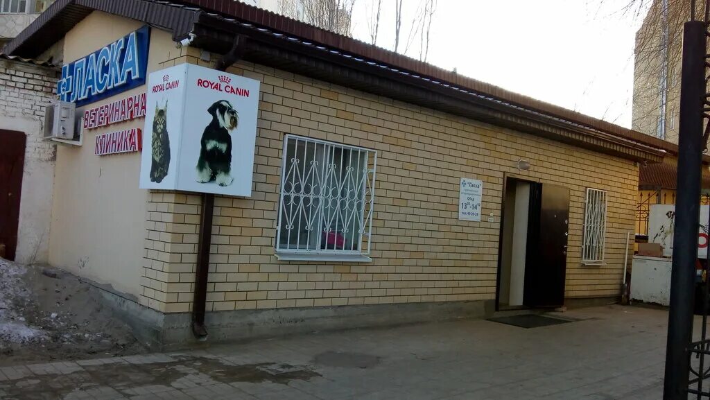 Панорама: Ласка, ветеринарная клиника, ул. Генерала Епишева, 2Г, Астрахань - Янд