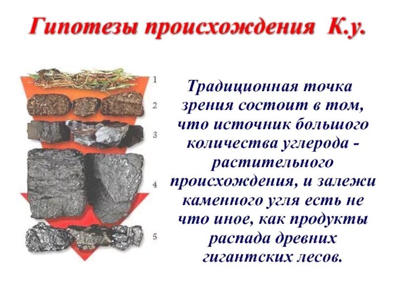 Каменный уголь условия. Схема образования каменного угля. Формирование каменного угля. Образование каменного угля 5 класс биология. Процесс образования каменного угля.