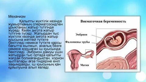 Порно аяқталатын простата массажы туралы бейне