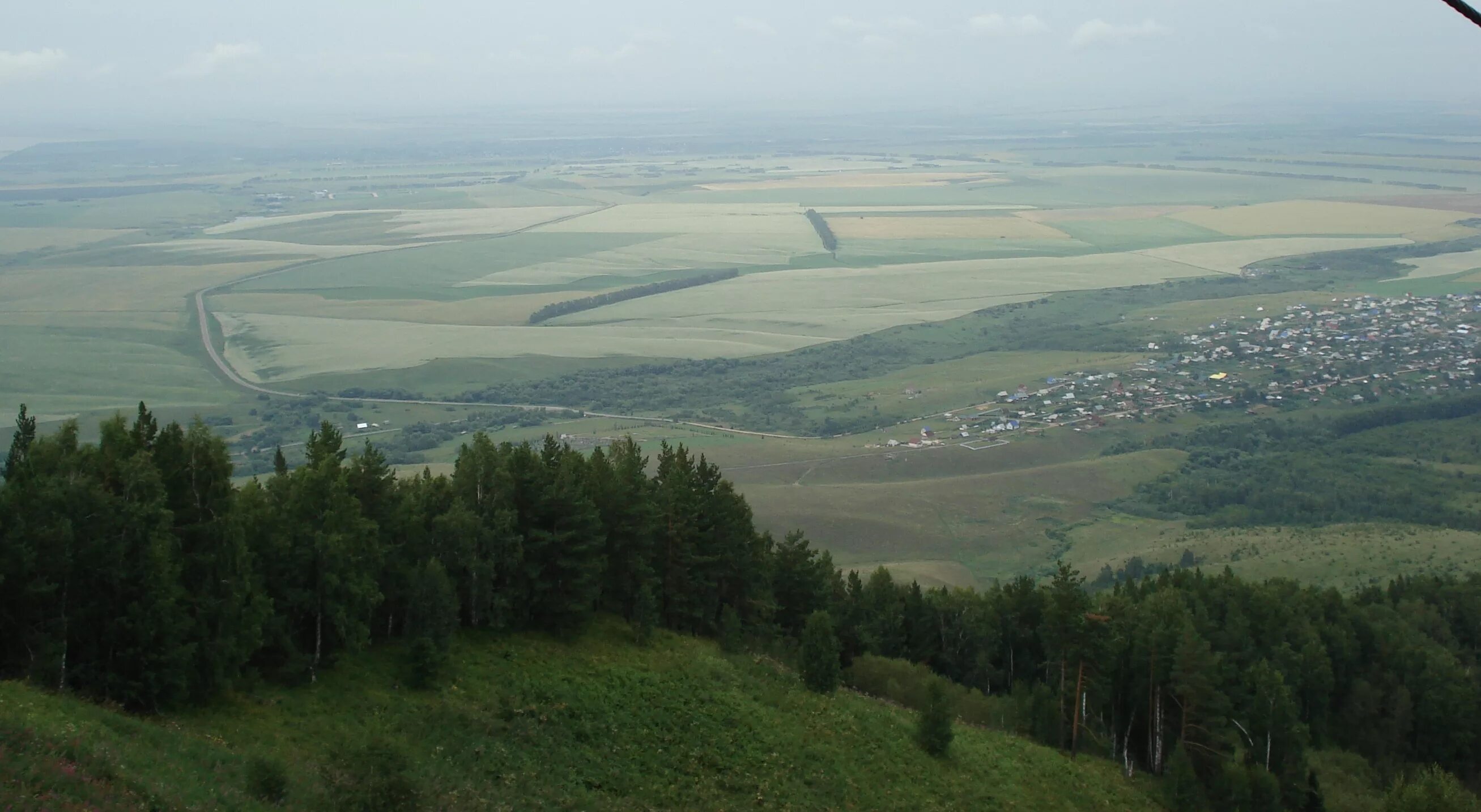 Нижняя ненинка алтайский край. Гора кивда алтайский край.