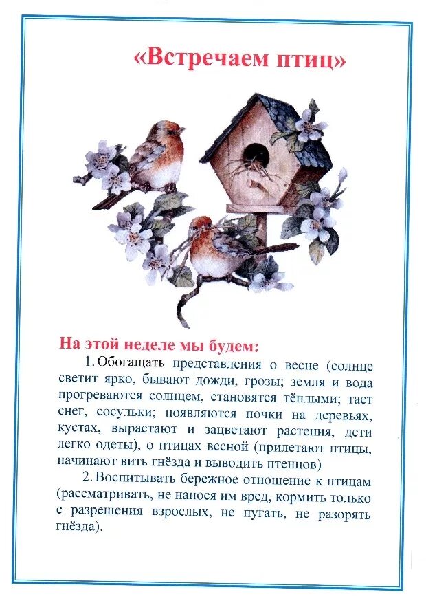 тематическая неделя птицы в средней группе. фото отчет птицы с детьми в детском саду. тема :встречаем птиц. птицы наши пернатые друзья. встречаем птиц весной.