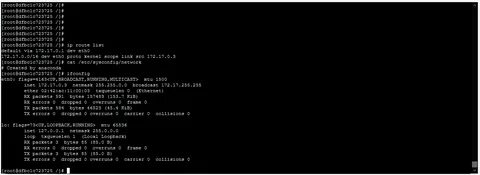 Ifconfig address