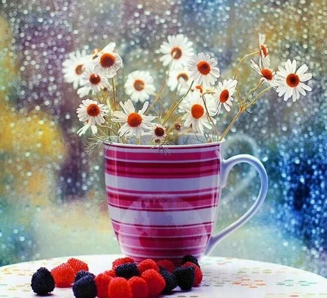 Хорошего настроения в дождливую погоду. Цветы дождя. Доброе дождливое утро. Ромашки и дождь. Дождливое воскресное утро.