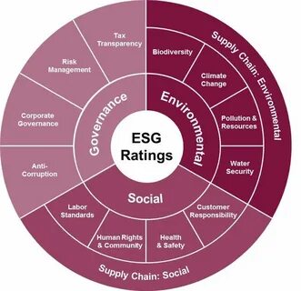 Esg стратегии компании