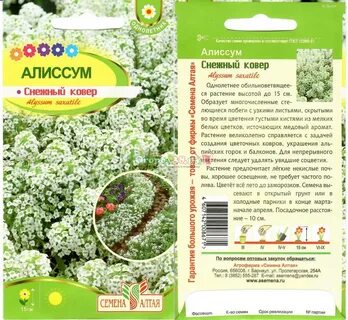 Алиссум снежный ковер на рассаду