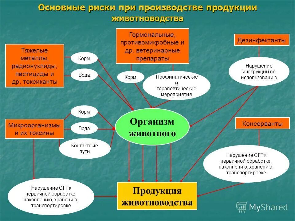 риски производства продукции. риски производства продукции. производственный риск пример. риски производства продукции. технико-производственные риски.