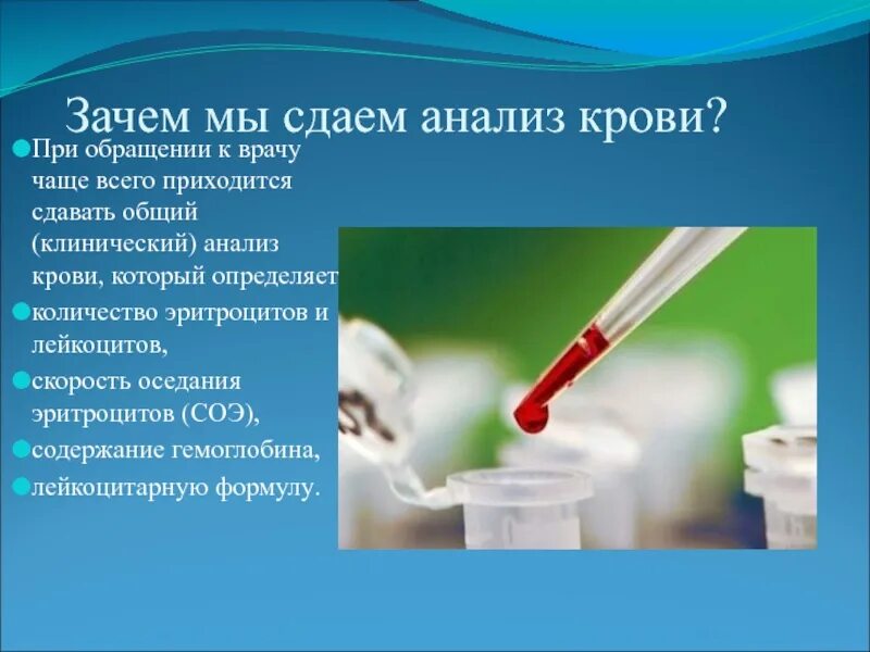 Зачем мы сдаем общий анализ крови. Кровь проект по биологии. Проект по биологии о чем расскажет общий анализ крови. Зачем часто сдавать кровь мужчинам.