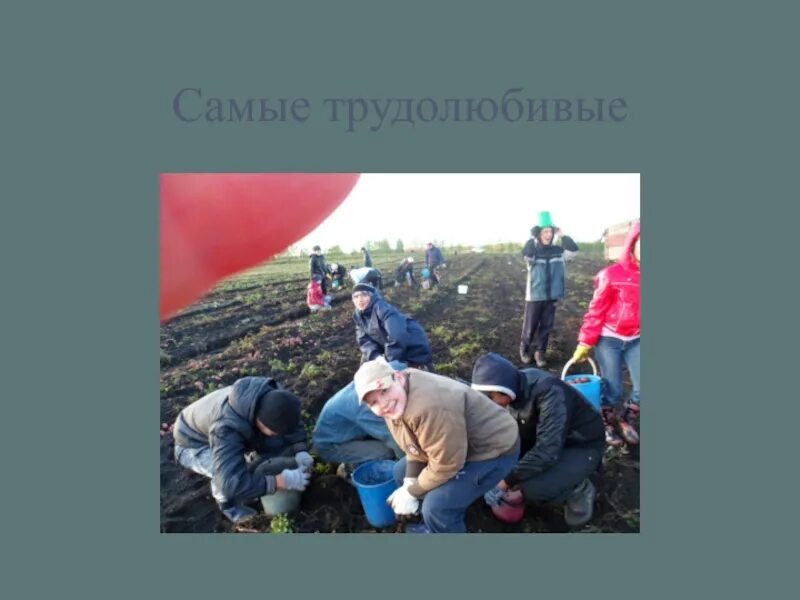 Почему важно быть трудолюбивым 4