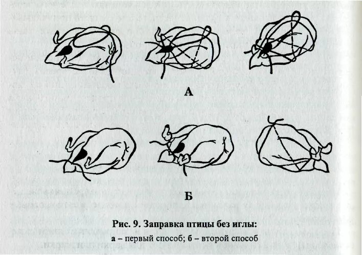 Перечислите способы заправки птицы. Способы заправки тушек птиц. способы заправки сельскохозяйственной птицы. заправка птицы в кармашек схема. заправка птицы в кармашек в 1 и 2 нитки.