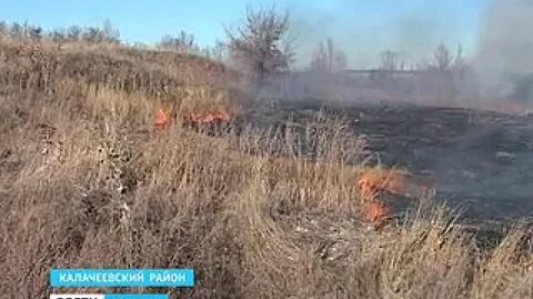 Гисметео воронежская область новомеловатка