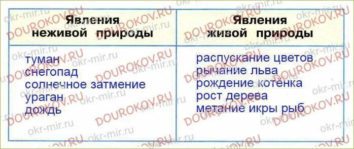 Явления неживой природы 2 класс окружающий мир. Явления живой природы 2 класс. Явления живой природы окружающий мир. Явления природы 2 класс окружающий мир рабочая тетрадь. Явление природы рабочая тетрадь