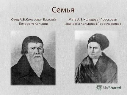 Биография алексея васильевича