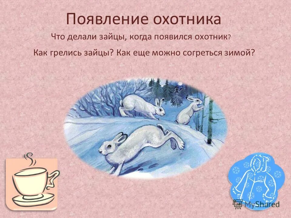 Что делают на зиму зайцы. Сочинение про зайца. Серая шейка: сказки. Заяц на грядке. Почему зайца называют косым кратко для детей.