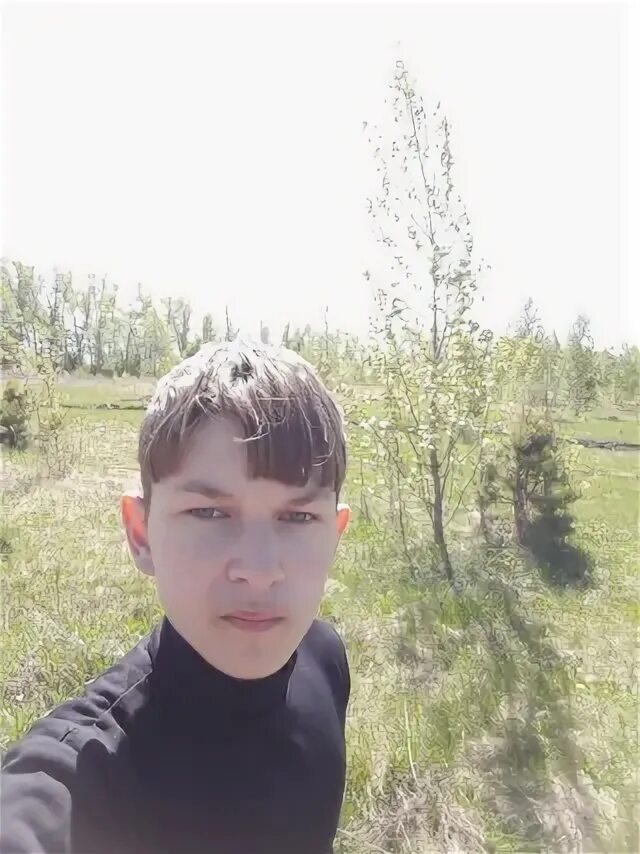 Камаев барыш. Камаев барыш