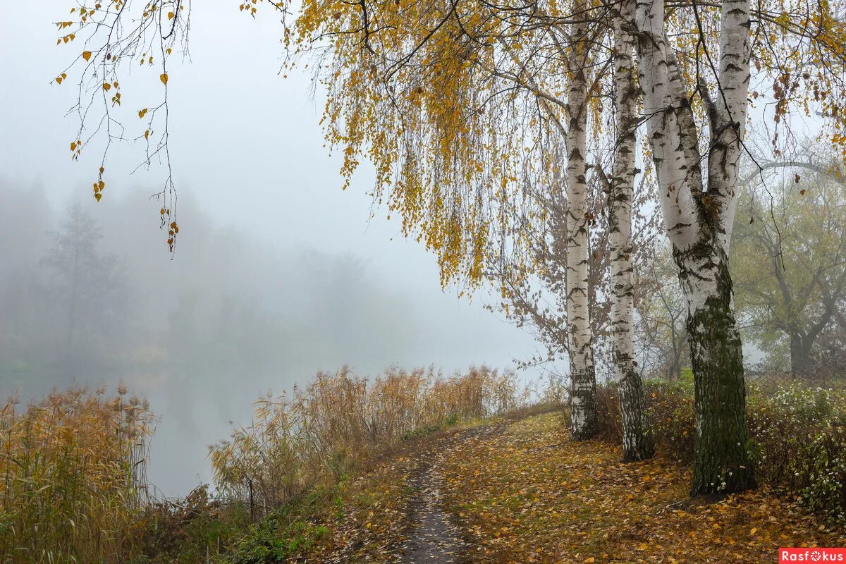 Осень река туман. Туман осенью. Осень река туман. Осень река туман. Осенний туман на реке.