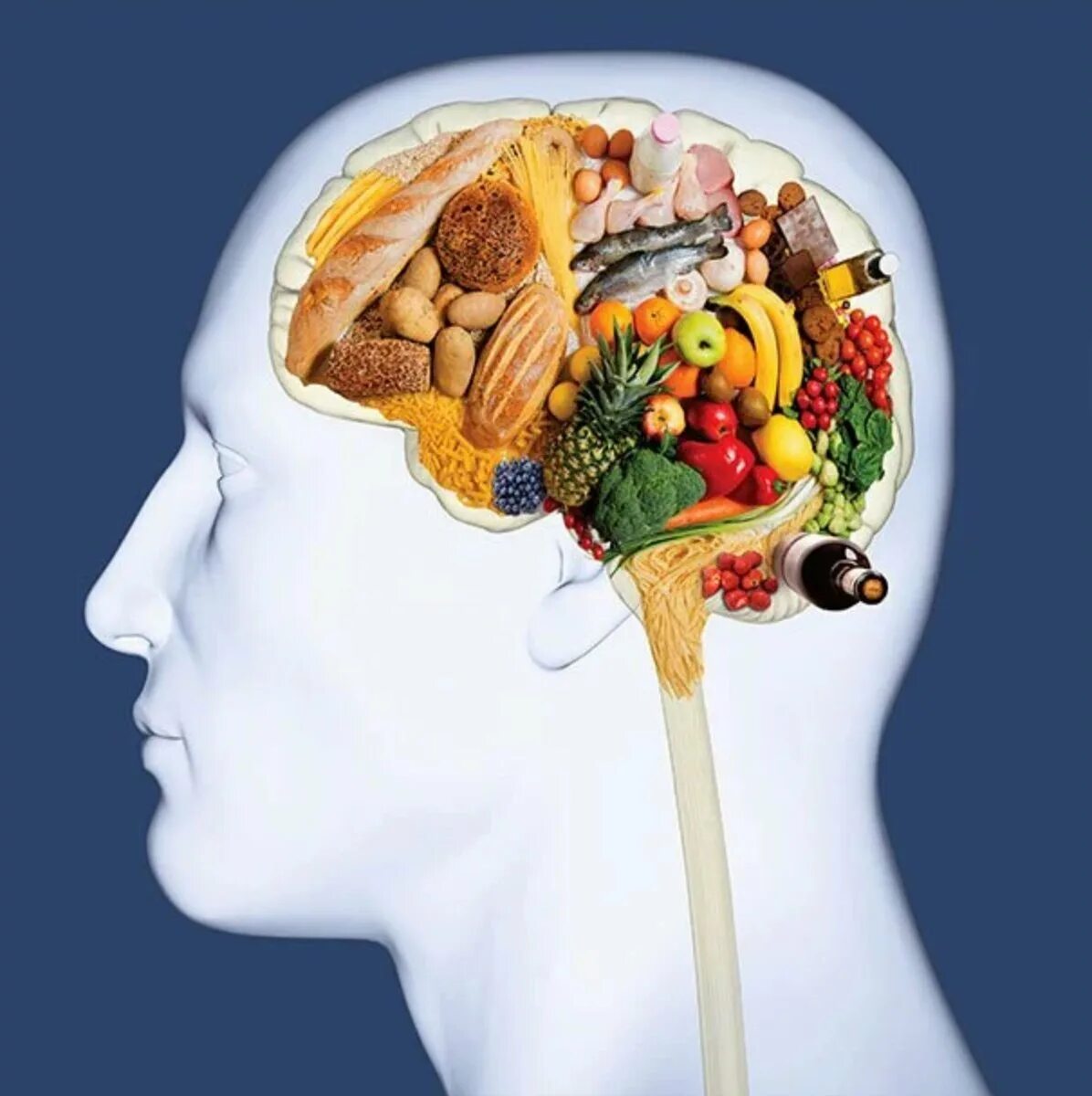 Питание для мозга. Правильное питание для мозга. Полезные и вредные продукты для мозга.