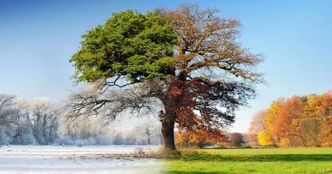 Seasons фото