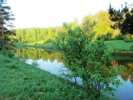 Ивняки ярославль
