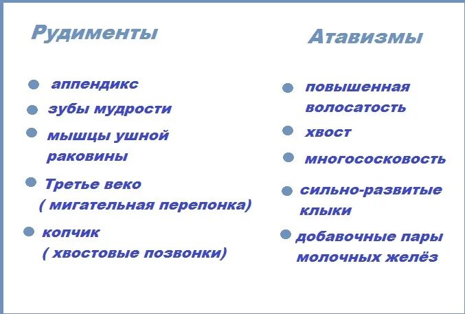 ⚡ АТАВИЗМЫ И РУДИМЕНТЫ ⚡ Для ЕГЭ вам достаточно понимать, что такое атавизмы и р