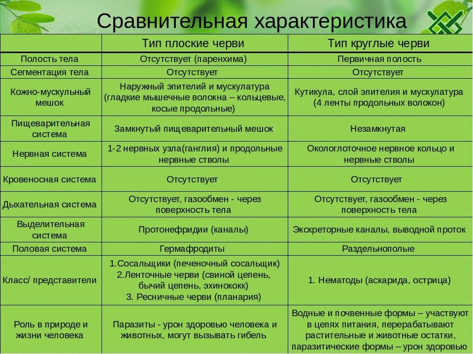 Выполните сравнительный анализ указав сходства и различия. Биология 7 класс таблица плоские черви круглые черви кольчатые черви. Тип плоские черви общая характеристика 7 класс таблица. Сравнительная характеристика плоских червей биология 7 класс. Пищеварительная система плоских червей 7 класс биология таблица.