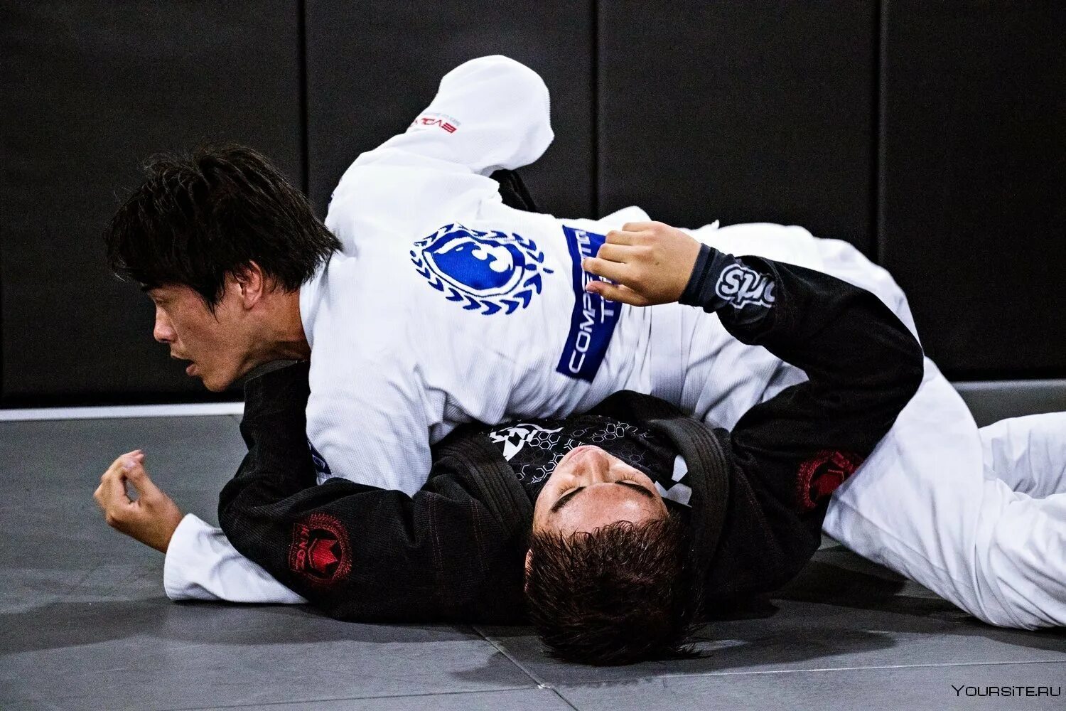 Brother jujutsu chronicles. Бразильское джиу-джитсу грейси. Джиу джитсу хайлайты. Brother jujutsu chronicles. Брат итадори юджи.