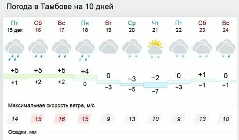 Погода в тамбове на октябрь 2024г