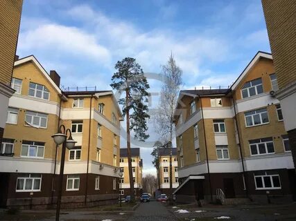Салтыковка престиж московская обл