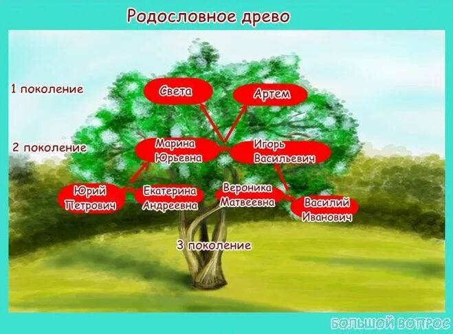 Древо часть 2. Окруж мир 2 класс родословная. Проект родословная. Проект родословная 2 класс. Проект родословная 2 класс окружающий мир.