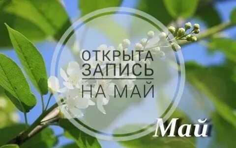 Запись майский 1