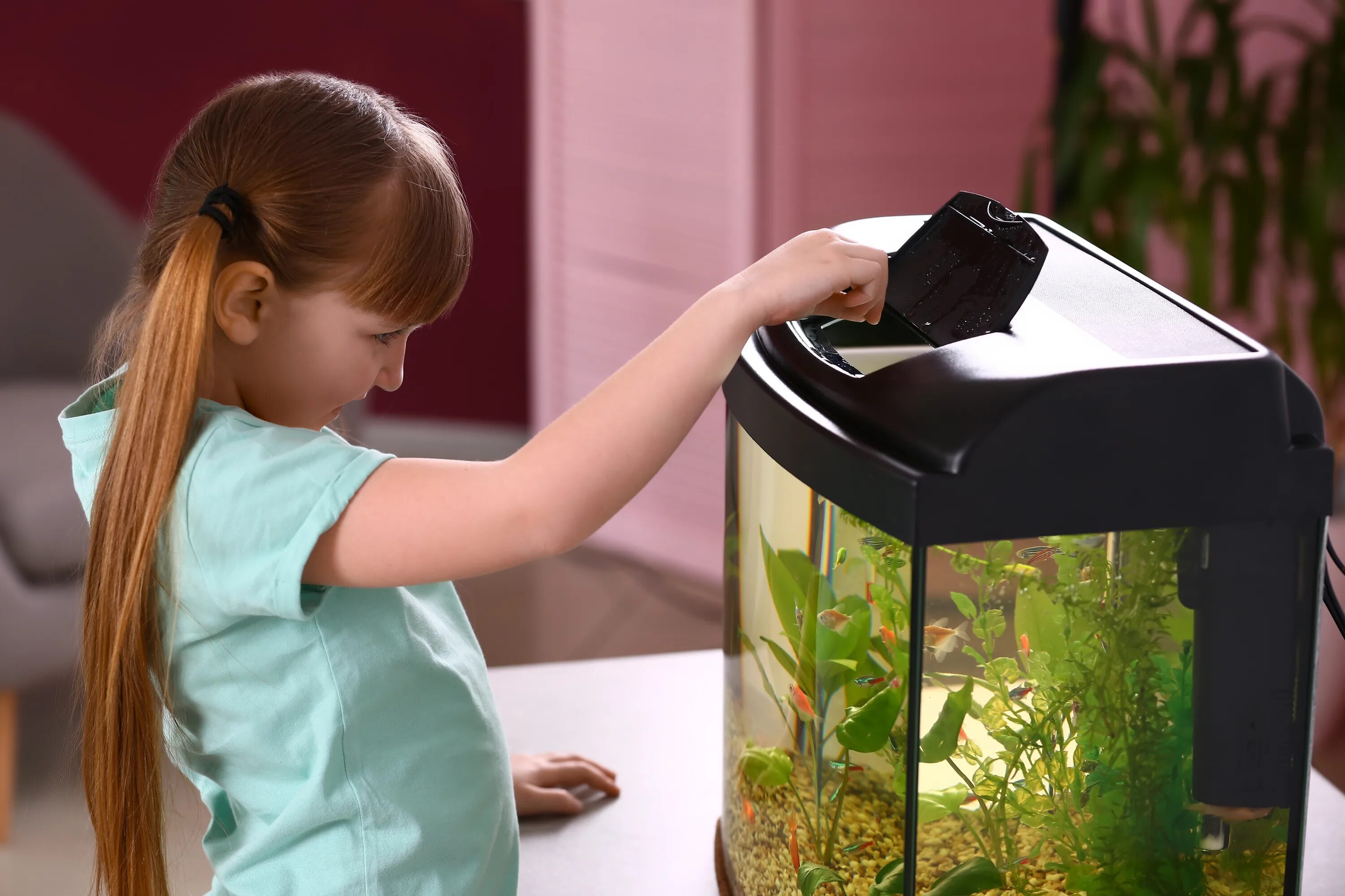 Девочка с аквариумом. Аквариум для детей. Девушка кормит рыбок. Ухаживание за рыбками. Pet age