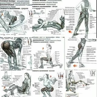 Упражнения для ног в тренажерном зале