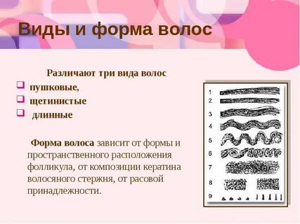 Разные формы волос