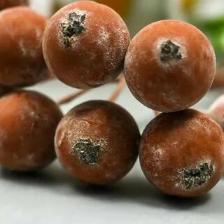 Ягода коричневого цвета