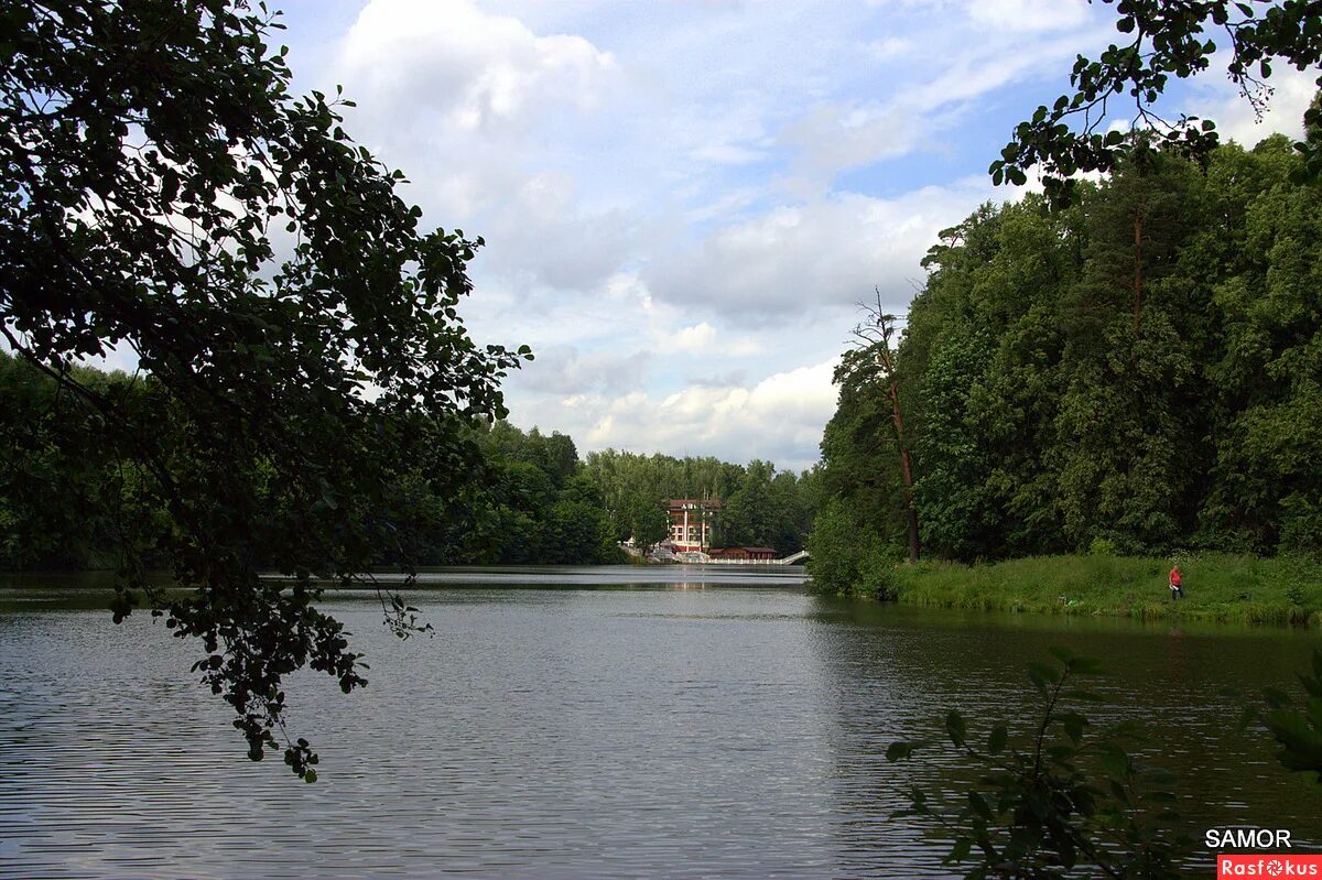 озеро тарелочка в салтыковке. тарелочкин пруд салтыковка. серебрянный пруд балашиха. салтыковка пруд. золотой пруд салтыковка.