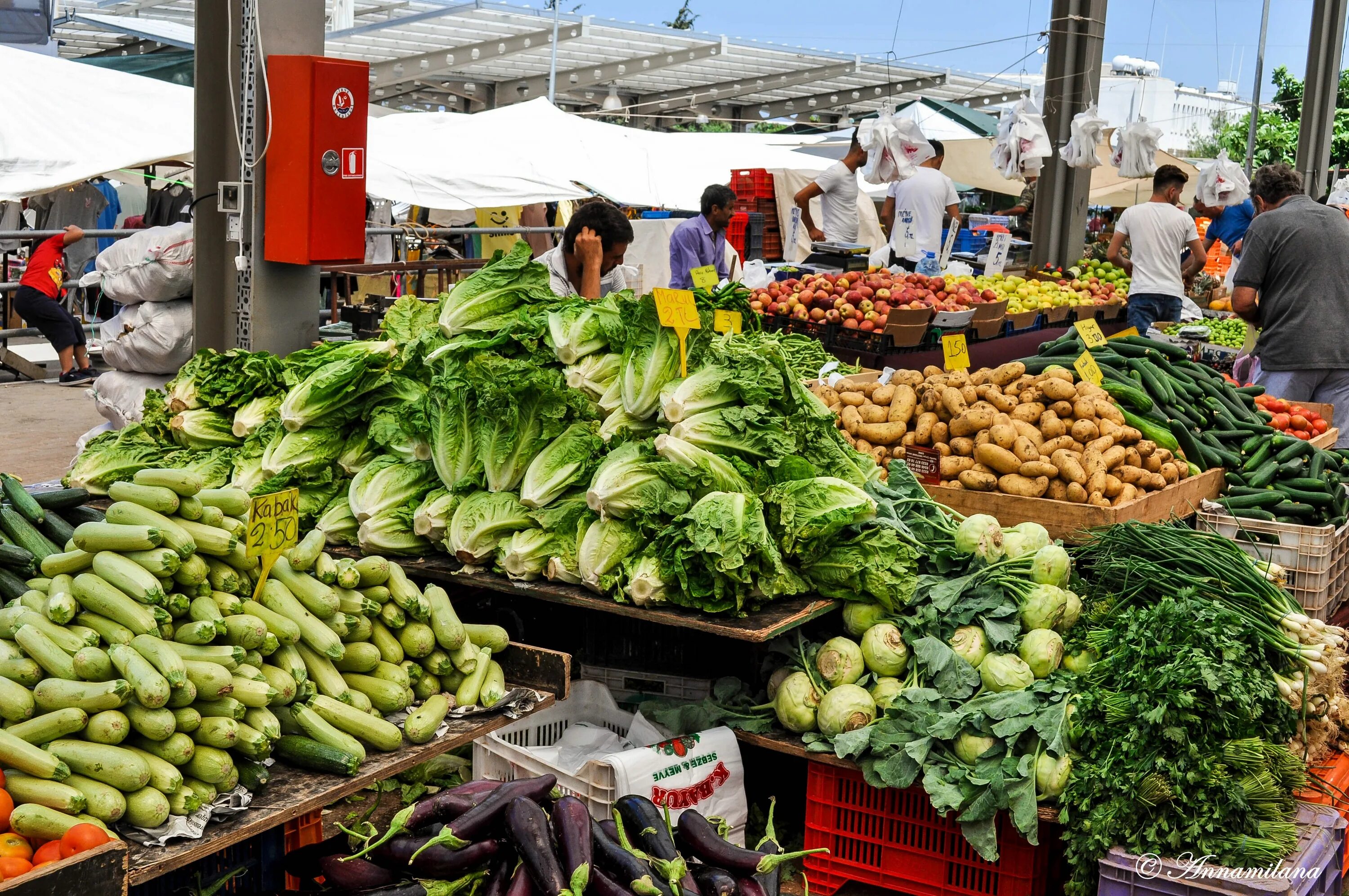 Овощной рынок Нья Чанг. Майский рынок. Продуктовый рынок. Северный Кипр рынок. Москва рынки овощей