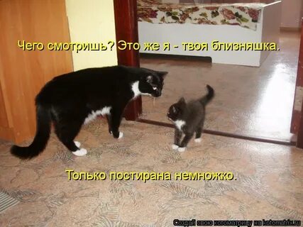 Я сам будто