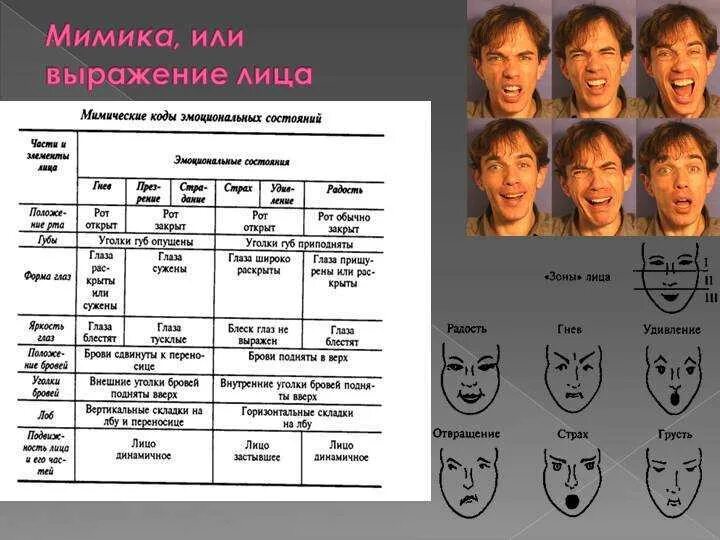 Эмоции человека. Различные выражения лица. Выражения лица эмоции. Мимика это в психологии.