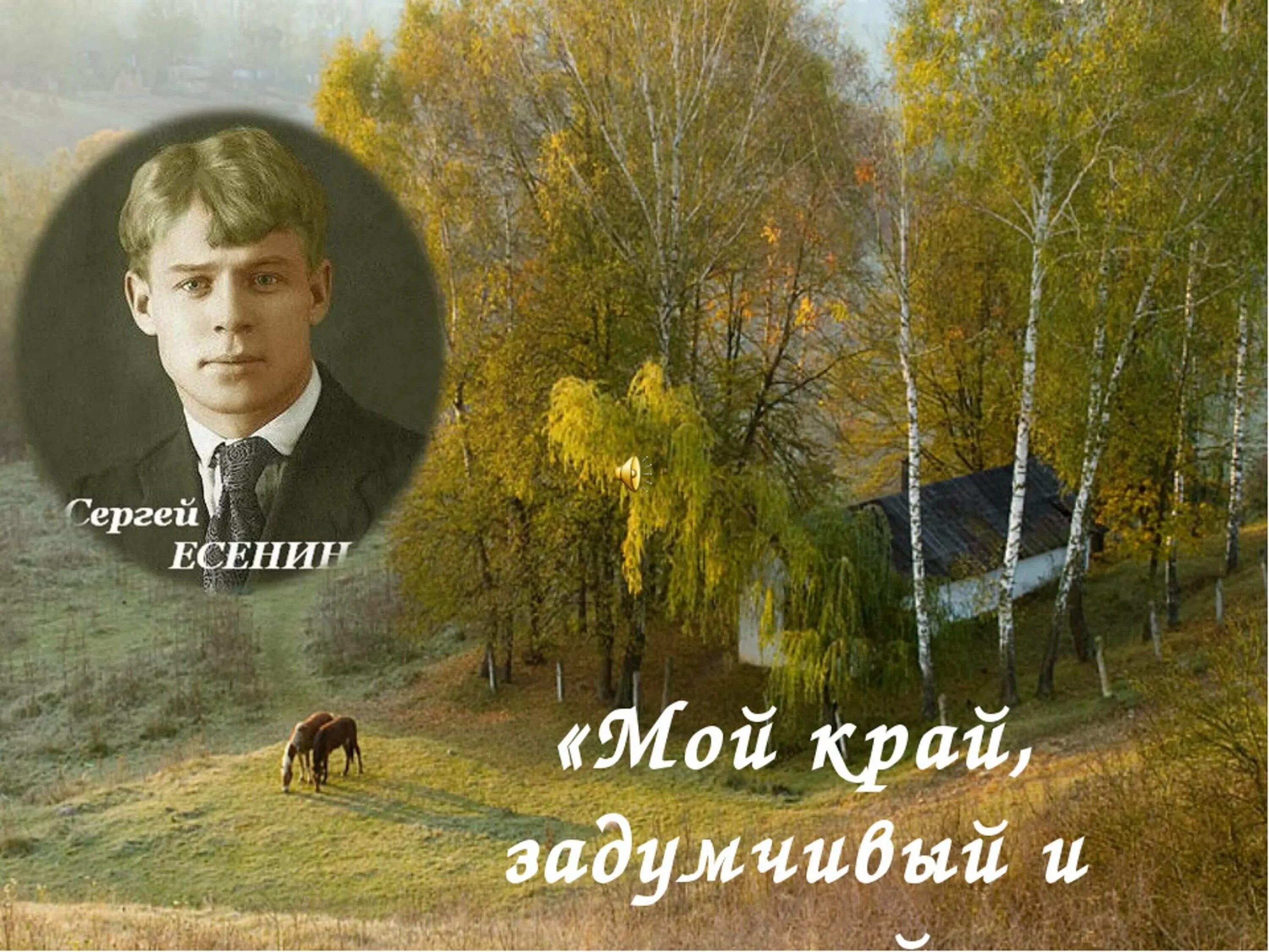 Есенин очень. Сергей есенин осень. есенин мой край задумчивый. мой край задумчивый и нежный есенин. сергей есенин мой край задумчивый и нежный.