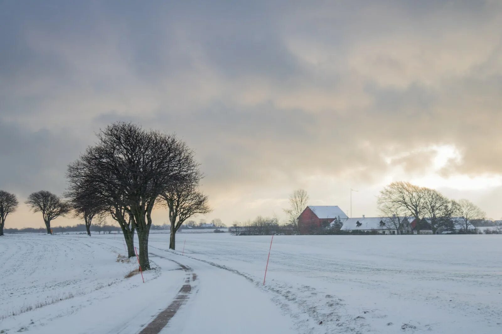 Дерево погоды. Winter countryside life. Сельская англия хэмпшир зимой. Сарай зимой. Англия зимой фото.