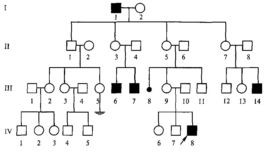 Древо семьи биология генетика. Х сцепленный рецессивный Тип наследования родословная. Родословная, 4 поколения, с аутосомно рецессивным типом наследования. Родословная схема биология рецессивный. Родословные с х сцепленным рецессивным типом наследования.