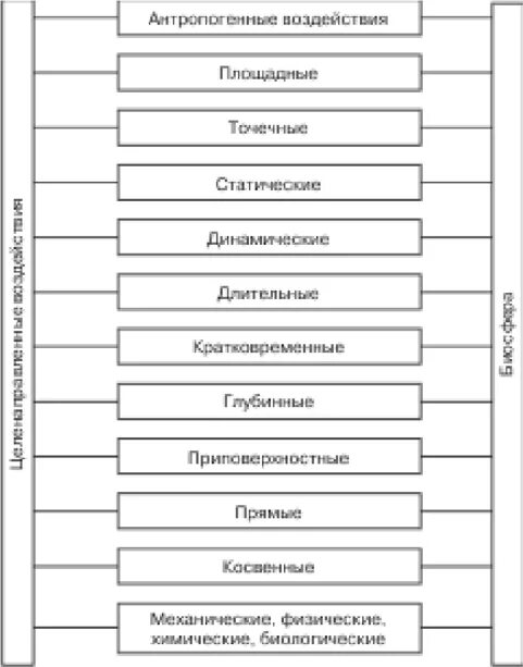 Антропогенные воздействия таблица. Виды антропогенного воздействия. Классификация антропогенных воздействий. Классификация антропогенных воздействий на природу. Антропогенное воздействие на биосферу схема.